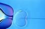 Powdered eggs could be new IVF solution