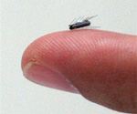 Micro robot to crawl through the human body